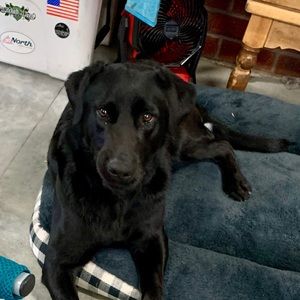 Meet your Posher, Christy